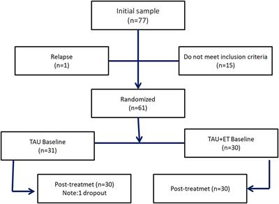 Randomized Clinical Trial with e-MotionalTraining® 1.0 for Social Cognition Rehabilitation in Schizophrenia